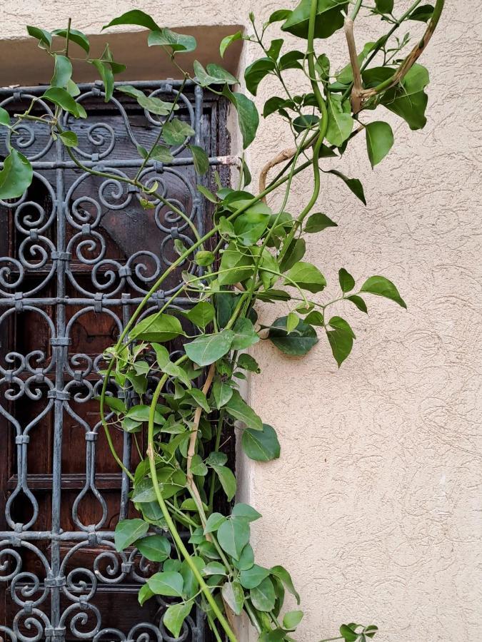 Riad Rime Garden Marrakech Lagouassem المظهر الخارجي الصورة